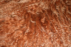 Подушка из тибетской овчины односторонняя цвет шоколад (0,5 х 0,5 м)   