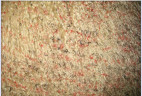 Прикроватный коврик из тибетской овчины бежевый 0,55 х 1,15 м