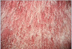 Прикроватный коврик из тибетской овчины розово-белый 0,55 х 1,15 м