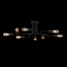 Потолочный светильник Maytoni Loft Gilbert, черный T532CL-08B