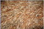 Прикроватный коврик из тибетской овчины шоколадно-палевый 0,55 х 1,15 м