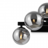 Настенный светильник (бра) Maytoni MOD547WL-05B чёрный серии Dallas, абажур дымчатый