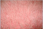 Прикроватный коврик из тибетской овчины розовый