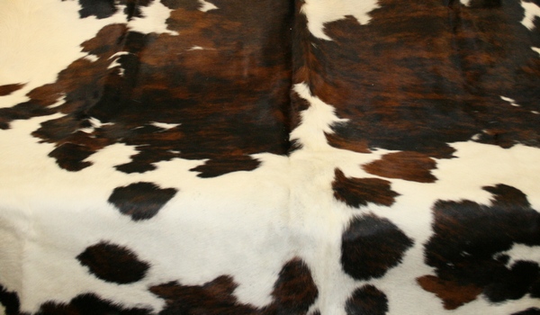 Шкура коровы из Испании продаётся в интернет магазине lamamia.ru за 28350 рублей