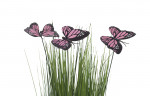 Стебли травы с бабочками на плетеной основе 40 см (крас.) (6)