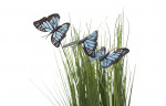 Стебли травы с бабочками на плетеной основе 40 см (гол.) (6)