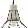 Подвесной светильник Maytoni T452-PL-01-GR Loft Gosford, черный