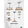 Подвесной светильник Arte Lamp Safari A6905SP-1AB