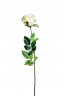 Роза белая 71 см