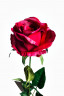 Роза бордовая 71 см (24)