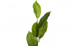 Листья жакаранды 84 см, (24)