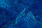 Шкура мериноса синяя, 8-ми шкурная