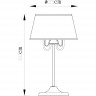 Настольная лампа Arte Lamp DANTE A1150LT-3CC