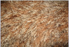 Прикроватный коврик из тибетской овчины коричневый 0,55 х 1,15 м