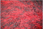 Прикроватный коврик из тибетской овчины красно-черный 0,55 х 1,15 м