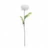 Хризантема белая 63 см (24)