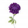 Хризантема фиолетовая 63 см (24)