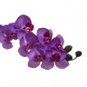 Орхидея лиловая 85 см (12)