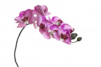 Орхидея розовая 85 см (12)