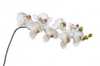 Орхидея белая 85 см (12)