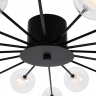 Потолочный светильник Freya FR5242CL-16B1 чёрный серии Celebrity, абажур прозрачный и белый