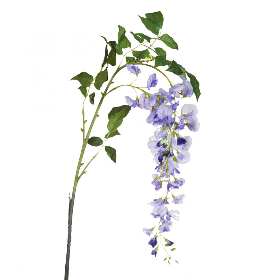 Глициния сиреневая, 142см (18)