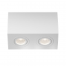 Потолочный светильник Technical C017CL-02W белый серии Atom