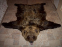 Шкура буро-черного медведя 1,65 м
