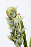 Орхидея CYMBIDIUM белая искусственная в горшке