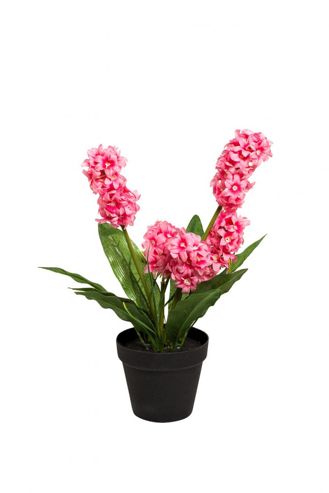 Гиацинт в горшочке розовый 40 см (6)