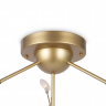 Потолочный светильник Freya FR5049CL-36G золото серии Florencia, абажур белый