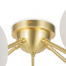Потолочный светильник Maytoni MOD545CL-20BS золото серии Dallas, абажур коньячный