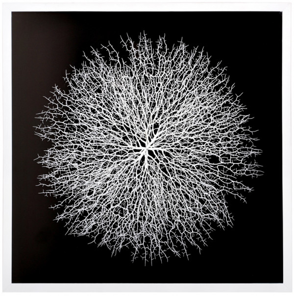 Панно композитное "Лёгкий шелест 2"